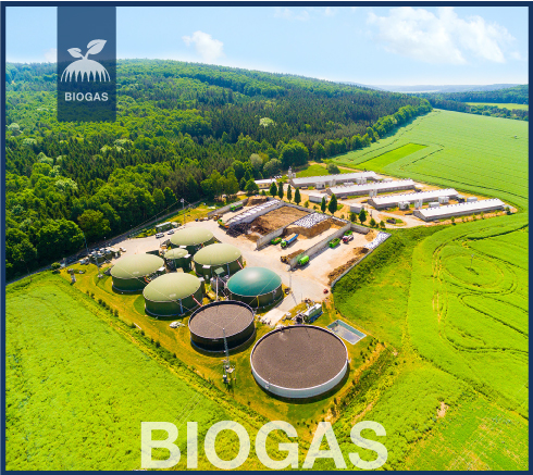 Wie mache ich meine Biogasanlage effizienter? Lukeneder hat die Antwort.